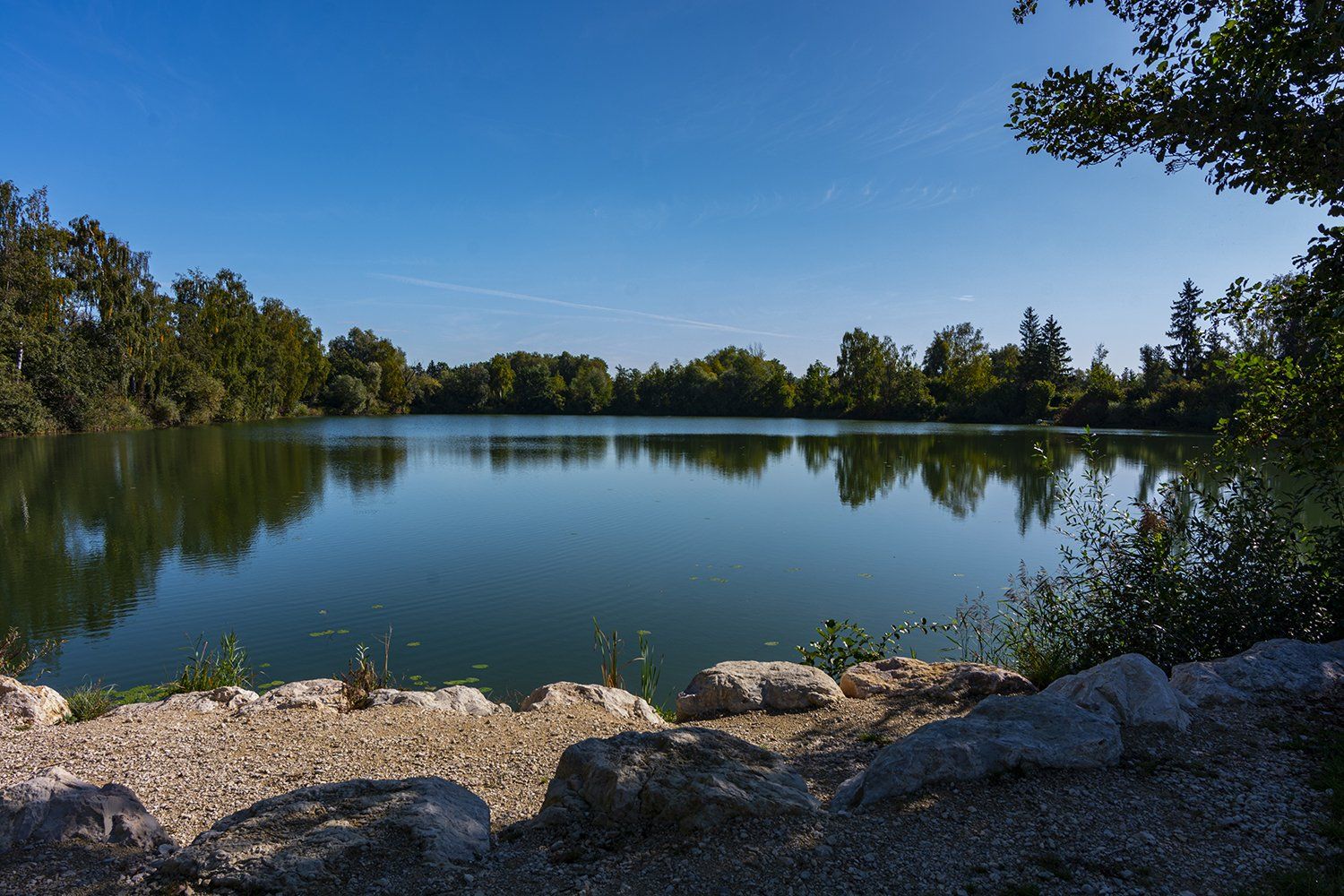 Blick über den Hüttensee in Erbach mit Bäumen und ruhigem Wasser